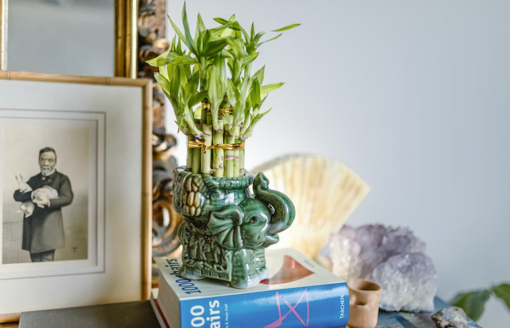 bagua feng shui
